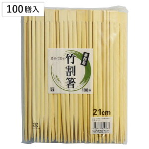 蔢 |o 21cm 100V i ΂ ĝ   ͂ nV ΂  GR | ܖ Ɩp e | j