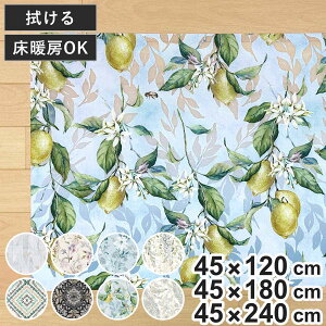 �L�b�`���}�b�g �O���X �N���A�L�b�`���}�b�g 45×120cm 180cm 240cm �i ���g�[�Ή� �z�b�g�J�[�y�b�g�Ή� �A���R�[���Ή� ���� �@���� 45cm �L�b�`�� �}�b�g �L�b�`�����O �䏊�}�b�g PVC�}�b�g �h