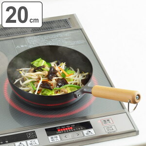 tCp 20cm [^ IHΉ S { NEWOp[ ؕtCp20cm i KXΑΉ ߓ ʑŏoH 20Z` fB[vp fB[vtCp S StCp  