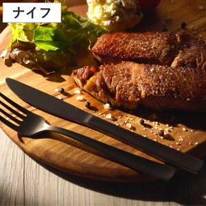 ナイフ 墨彩 デザートナイフ ( ステンレス 日本製 燕三条 カトラリー 20.5cm テーブルナイフ ステンレス製 おしゃれ デザート 丈夫 錆びにくい シンプル モダン 食事 来客用 普段使い )