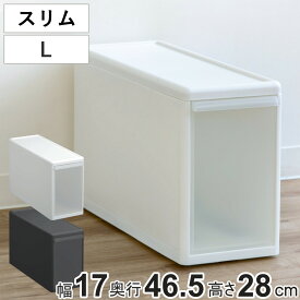 収納ケース スリム L 幅17×奥行47×高さ28cm プラスチック 引き出し 収納 （ 収納ボックス 衣装 ケース ボックス 日本製 クローゼット収納 隙間収納 押入れ収納 クローゼット 押入れ BOX CD キッチン スタッキング 積み重ね ）