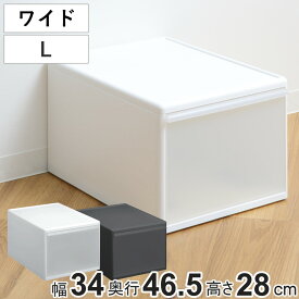 収納ケース ワイド L 幅34×奥行46.5×高さ28cm プラスチック 引き出し 収納 日本製 （ 収納ボックス 衣装 ケース クローゼット収納 ボックス 積み重ね 押入れ収納 キッチン 脱衣所 衣類 スタッキング 小物収納 洋服 リビング収納 ）