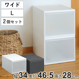 収納ケース ワイド L 幅34×奥行46.5×高さ28cm プラスチック 引き出し 収納 日本製 同色2個セット （ 収納ボックス 衣装 ケース クローゼット 積み重ね 押入れ収納 キッチン 脱衣所 衣類 スタッキング 小物収納 リビング収納 ）