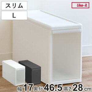 収納ケース スリム L 幅17×奥行47×高さ28cm プラスチック 引き出し 収納 ( 収納ボックス 衣装 ケース ボックス 日本製 クローゼット収納 隙間収納 押入れ収納 クローゼット 押入れ BOX CD キッ