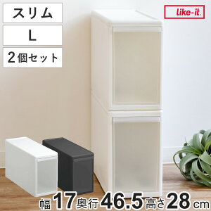 収納ケース スリム L 幅17×奥行47×高さ28cm プラスチック 引き出し 収納 同色2個セット ( 収納ボックス 衣装 ケース ボックス 日本製 隙間収納 クローゼット収納 押入れ収納 クローゼット 押