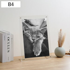 tHgt[ Vv AN B4 i ANt[ tHgX^h ʐ^ ʐ^ Ǌ| u^ X^h t[Ȃ NA  ʐ^t[ ʐ^ fBXvC u