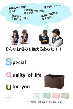 収納ボックス収納ケースsqu+インボックスL