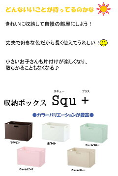 収納ボックス収納ケースsqu+インボックスL