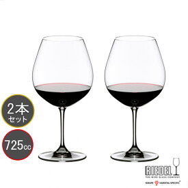 名入れグラス 代引き不可 送料無料・包装無料 RIEDEL リーデル ヴィノム（ビノム） ワイングラス ≪ペア≫ 6416/7 6416/07 レリーフ料込み グラス名入れピノ・ノワール（ブルゴーニュ）