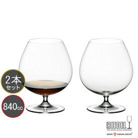 送料無料・包装無料 RIEDEL リーデル ヴィノム（ビノム） ワイングラス ブランディ・スニフタ 6416/18 ≪ペア≫