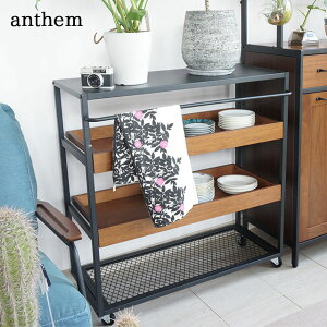 Lb` S _CjO X`[ XCh[ LX^[t }` Vbv fBXv[S I[v bN uE BR AZ anthem ANW-2838BR ؐ AeB[N ICIBA s