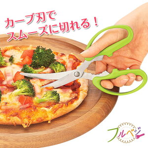 m{|Cg5{nJ[un͂ txW FV-402 ͂ J[u p ؗp Lb`oT~ Lb`nT~ {