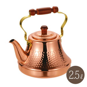 �y�{���|�C���g5�{�z���N���b�V�[�P�g�� 2.5���b�g�� ���{�� TY-8325 ��������