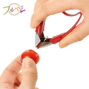 m{|Cg5{ntxW sR(w^) { FV-601