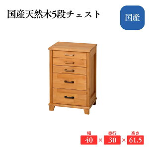 YVR5i`FXg 60cm ؐ ^X ˃`FXg o[ { i  k i`