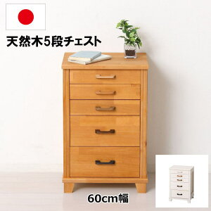 m{|Cg5{nYVR5i`FXg 60cm ؐ ^X ˃`FXg o[ { i  k i`