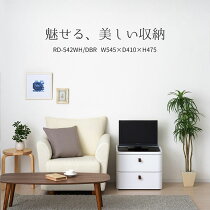 収納チェスト2段幅54.5cmRD-542WH/DBRロイヤルドロアー542アースホワイトプラスチックチェストチェスト【送料無料】沖縄・離島はお届けできません【05P07jan17】