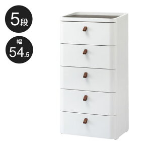 y|Cg5{z`FXg  vXeBbN [`FXg 5i 54.5cm RD-545WH/DBR ChA[ 545 A[XzCg E͂͂ł܂