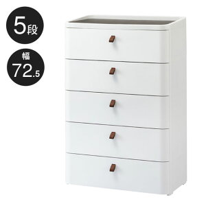 m{|Cg5{n`FXg  vXeBbN [`FXg 5i 72.5cm RD-725WH/DBR ChA[ 725 A[XzCg E͂͂ł܂