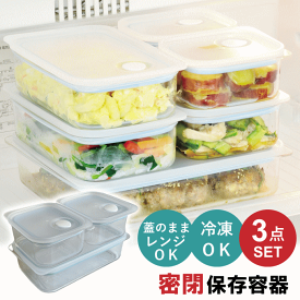 【全品ポイントUP】保存容器 3点 セット プラスチック 密閉 耐熱 四角 日本製 電子レンジ 食洗機 冷蔵 冷凍 弁当箱 お弁当箱 つくおき 作り置き 保存 密閉力アップ おかず ごはん ご飯 シンプル ふた 耐熱容器 耐熱皿 EC-3SET