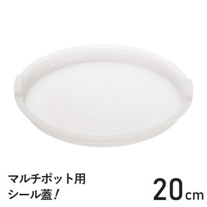 y[֔z}`|bgp V[W 16cm 18cm 20cm  PCW tortinop  肪 tCpV[Y geB[m p tortino W ӂ t^