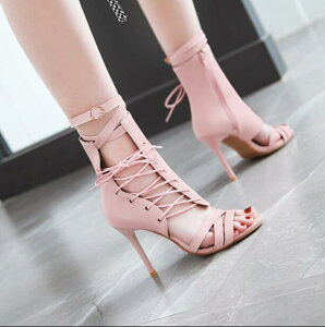 T}[u[c@u[cT_@[XAbv@nCq[T_@ā@10Z`q[@fB[XC@26.5Z`܂Ł@҂ݏグu[c@׃q[@fB[XC@ău[c ȂC