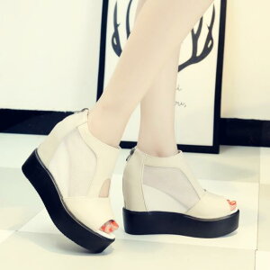 T}[u[c@u[cT_@u[eB[@EFbW\[ T_@ā@V[X[@10Z`q[@@fB[XC@t@Xi[t@25.5Z`܂