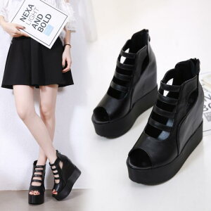 T}[u[c@T_ fB[X u[cT_ T_ q[11cm V[X[@q[T_ I[vgD EFbW\[ IV T}[u[c u[eB bV JWA