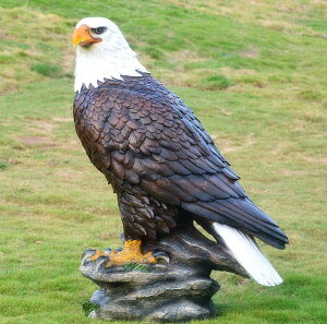 tNE 悯 悯 ΍ {  hhb΍ JX΍ h 悯ObY u I[ig  fBXvC K[fjO  K[f x_ O  uW