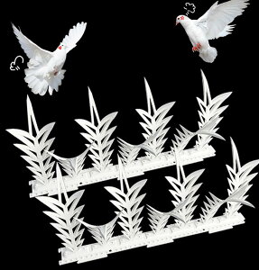 悯 悯ObY ObY 6@悯V[g  悯 ǂ   悯 x_ 悯ObY ObY h he[v ng΍ L bObY L悯 L