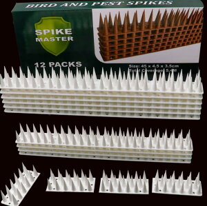 悯 悯ObY ObY 12@悯V[g  悯 ǂ   悯 x_ 悯ObY ObY h he[v ng΍ L bObY L悯 L