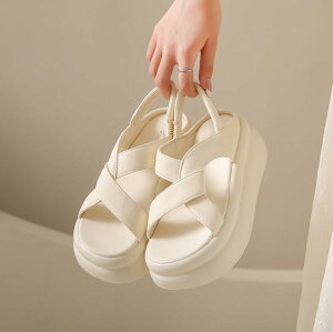 X|[cT_ T_ fB[X 7Z`q[ TCY tbg y RtH[g X|T ₷ Xbp ƕt ƂȂ r[`T_ C AEghA 