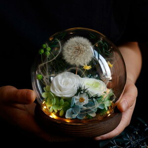 �v���U�[�u�h�t�����[ �K���X�h�[�� �v���[���g �a���� �� �����L�O�� �����j�� �j�d �d�� ������ �������� ���e �� �� �ސE�j�� �җ�j�� ��̓� ���� �������� ���킢�� ������� �C���X�^