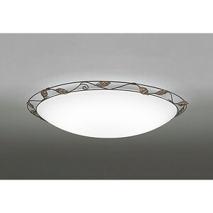 I[fbN[OL251169R]iODELICjLEDV[OCg