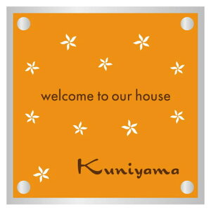 ێO^JM@\D@ADVANCE@PAINT COATAh@XyCgR[g