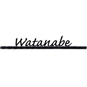 ێO^JM@\D@VINTAGE IRONBe[WACA