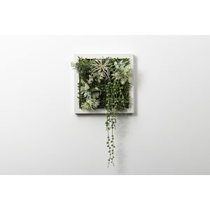 �A�����^�b�N�X[XGC001W4]SONOFlower Type A