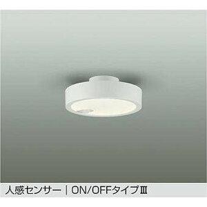 DAIKOd@[DCL-41964Y]^V[OCg