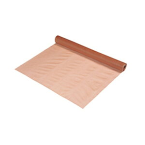 �t�N�r[BRA100W�@�����]�o���A�G�[�X�@100W