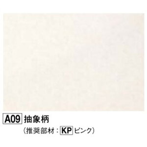 tNr[KAP2A09-1@o]ʃAp[W