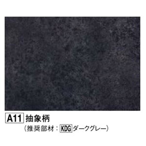 tNr[KAP2A11-1@o]ʃAp[W