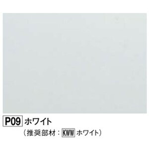 tNr[KAP2P09-1@o]ʃAp[W