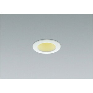 �R�C�Y�~[AD38586L]�_�E�����C�g