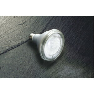 RCY~[AE55045]LEDv
