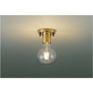 �R�C�Y�~[AH51113]���^�V�[�����O�A�u���P�b�g���C�g