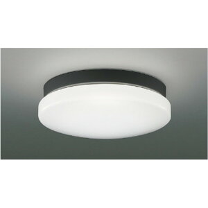 RCY~[AU46980L]GNXeA@A֓@GNXeA