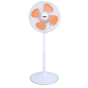 XCf[SF-45VF-1VP2]H@nla45cm