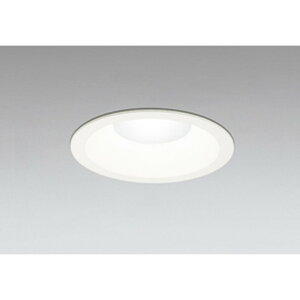 �I�[�f���b�N[OD261733R]�_�E�����C�g100W�N���X