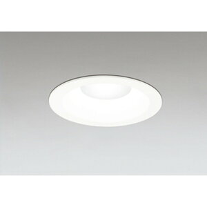 �I�[�f���b�N[OD261901R]�_�E�����C�g100W�N���X