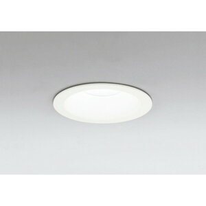 �I�[�f���b�N[OD261906R]�_�E�����C�g100W�N���X